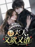 大佬追妻:夫人,又欲又渣