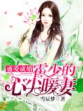 盛爱成婚:霍少的心尖暖妻