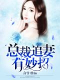 总裁追妻全文阅读