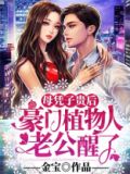 母凭子贵类小说