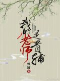 我的老师是首辅