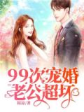 99次离婚,总裁老公喂不饱