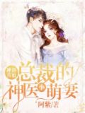 冲喜新娘：总裁的神医小萌妻