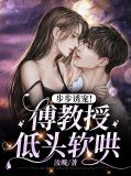 傅先生步步为婚
