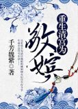 重生清宫之为敬嫔(清穿)