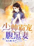 少帅宠妻你无敌小说