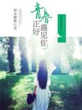 青春正好遇见你小说免费阅读