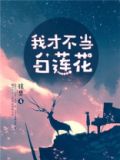 我才不当白莲花小说