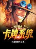 海贼王之卡牌系统