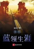 我的蓝领生涯