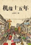 机缘十五年