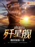 奶爸的歼星舰 小说