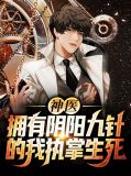 神医：拥有阴阳九针的我执掌生死