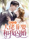相亲后结婚小说