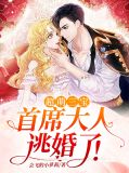首席萌宝aa
