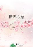 撩表心意 红九