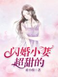 闪婚小妻超甜的