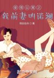 爱情公寓之我前妻叫诺澜下载