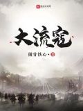大流寇TXT校对版下载