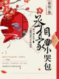 丞相家的小哭包小说书评