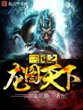 三国之龙图天下