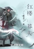 红楼:莽夫免费阅读