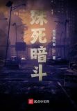 殊死暗斗小说