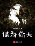 谍海偷天 小说