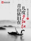 一抹残阳映青山的意思