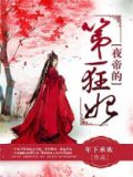夜帝的第一狂妃免费下载