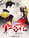 替嫁和亲:王的第一宠妃电视剧