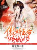 傲娇王爷倾城妃