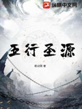 圣五行属性是什么