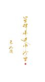 星辉落进风沙里